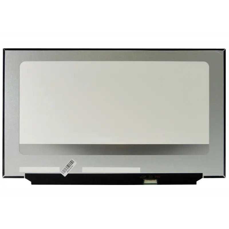 Koninklijke familie Gedetailleerd Stoffelijk overschot Laptopscherm MEDION E17201 series 17.3 inch Full HD IPS
